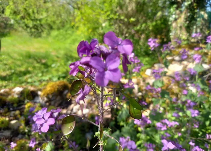 Casa vacanze Le Moulin De Payrot Laburgade